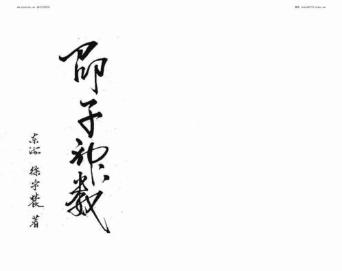 邵子神数_徐宇辳.pdf