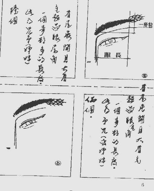 手相过三关_过兄弟关.pdf