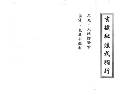 玄机秘法我独行_又名天地阴阳掌_易缘.pdf