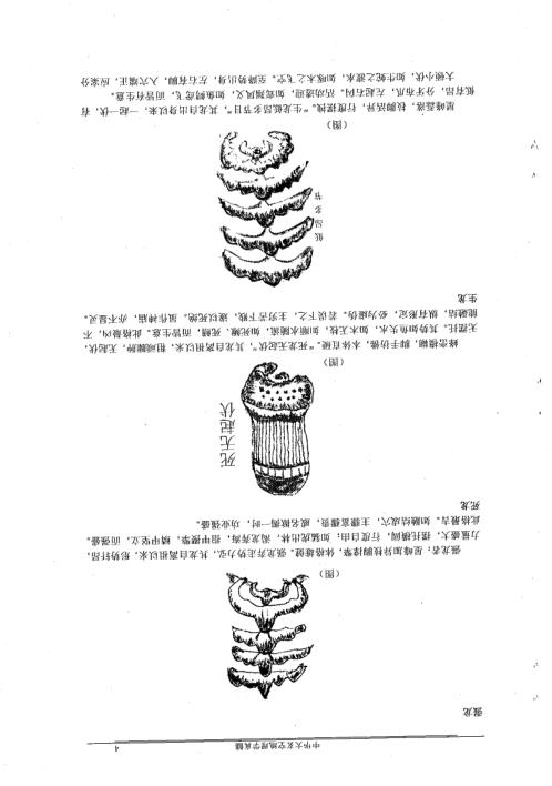 大玄空风水教程_龙篇真髓_杜彦霖.pdf