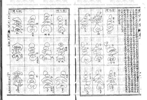 点穴_杨公.pdf