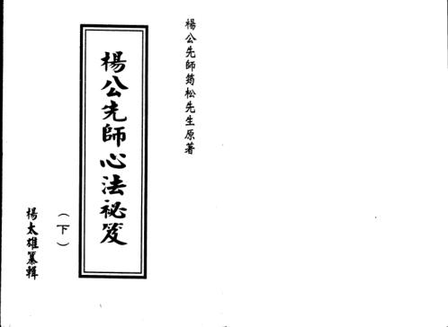 先师心法秘笈_下_杨太雄.pdf