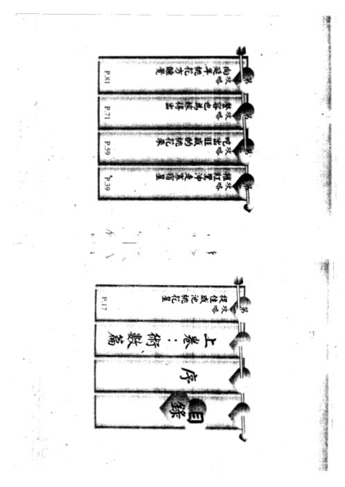 桃花运与桃花劫.pdf