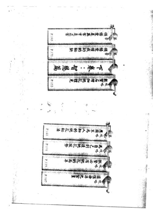 桃花运与桃花劫.pdf