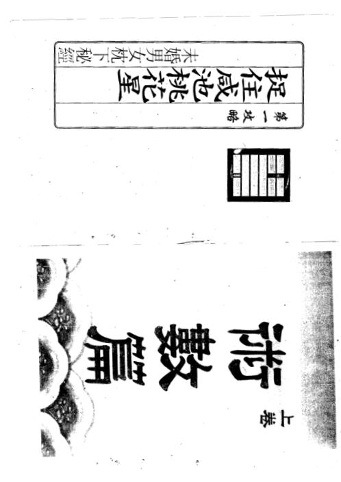 桃花运与桃花劫.pdf