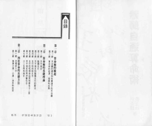 无师自通算命术_洪丕谟.pdf