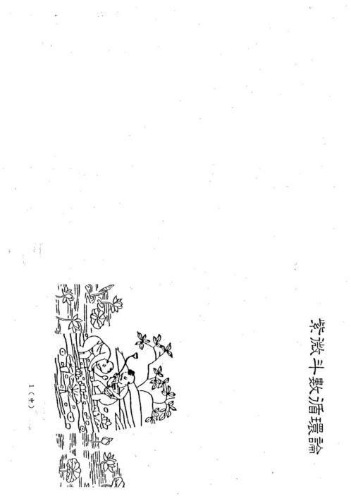 紫微斗数循环论中册_潘子渔.pdf