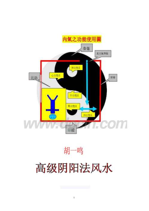 高级阴阳法风水_胡一鸣.pdf