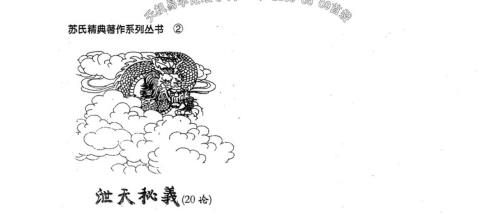 泄天秘义二十论_苏国圣.pdf