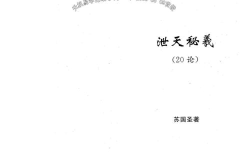 泄天秘义二十论_苏国圣.pdf