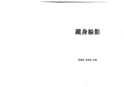 藏身躲影_苏国圣.pdf