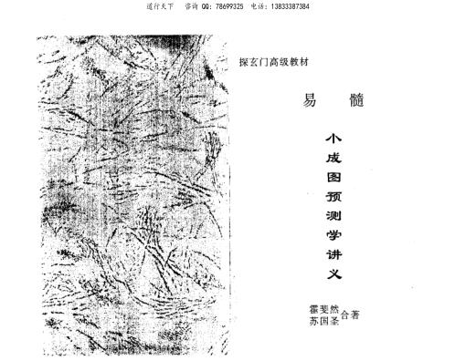 小成图预测学讲义_苏国圣.pdf