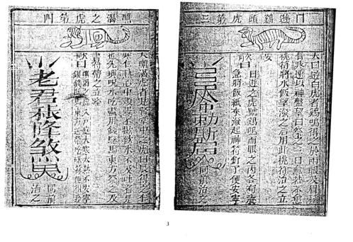 符咒三皇秘传三十六虎_古本_袁天罡.pdf