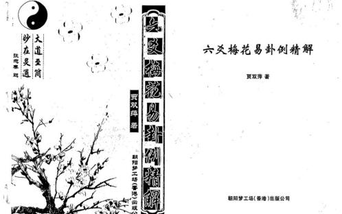 六爻梅花易卦例精解_贾双萍.pdf