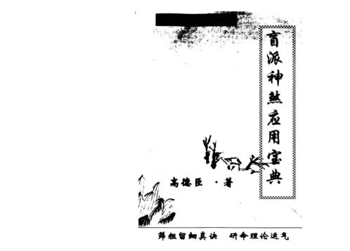 盲派神煞应用宝典_高德臣.pdf