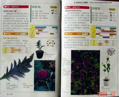 78种健康香草栽培.pdf