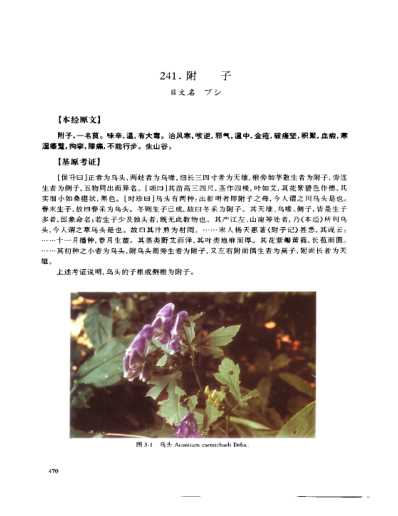 中医药版_神农本草经_彩色图谱_残下品.pdf