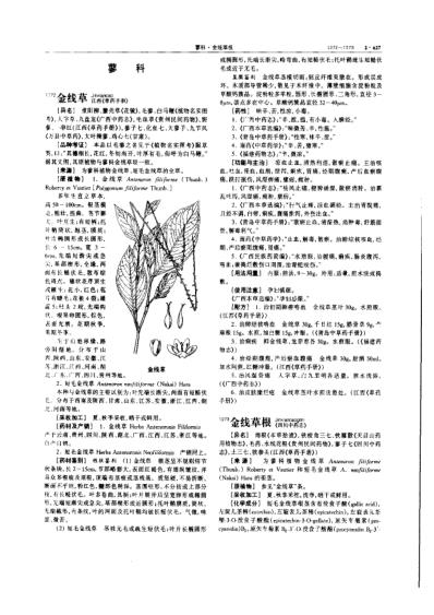 中华本草_第06卷.pdf