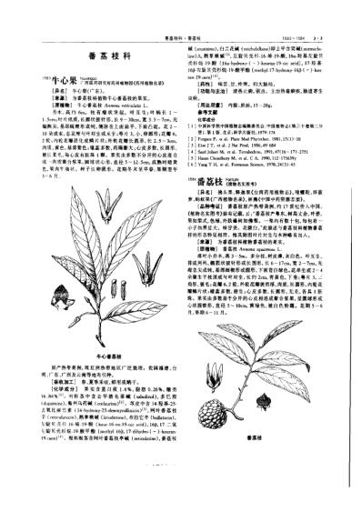 中华本草_第07卷.pdf