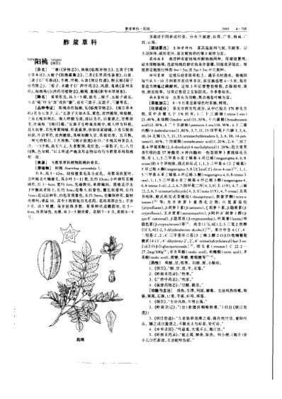 中华本草_第12卷.pdf