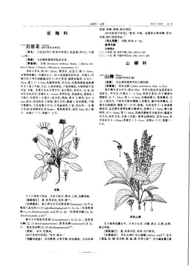 中华本草_第16卷.pdf