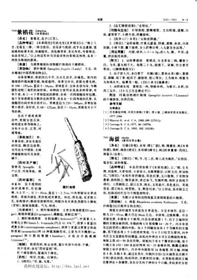 中华本草_第25卷.pdf