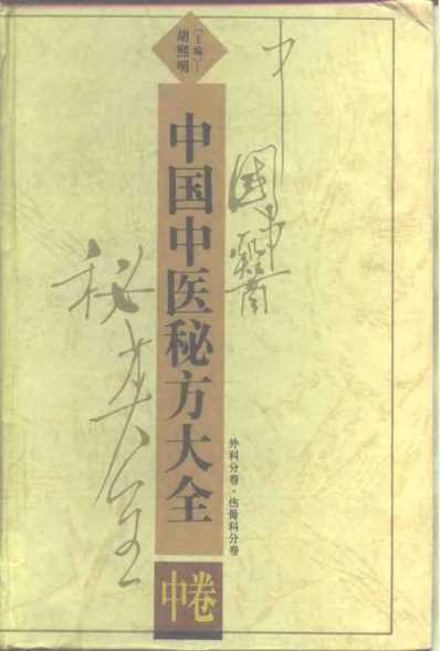 中国中医秘方大全_中.pdf