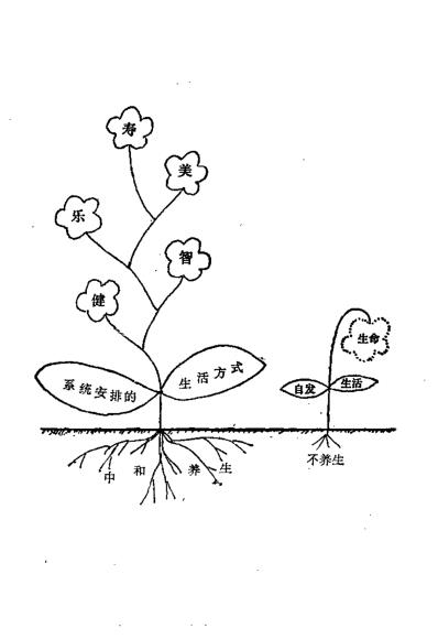 养生解惑当代养生争论热点剖析_宋为民.pdf