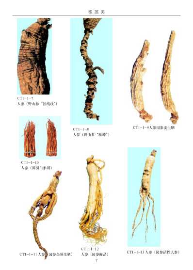 最新中草药真伪鉴别实用大全第一卷.pdf