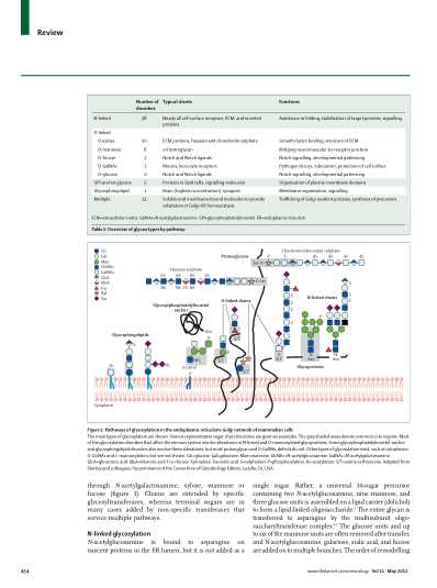 柳叶刀_Neurology-2012-May.pdf