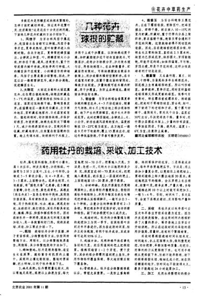 药用牡丹的栽培-采收-加工技术.pdf