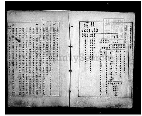 [曾] 曾氏家谱 (台湾) 曾氏族谱.pdf