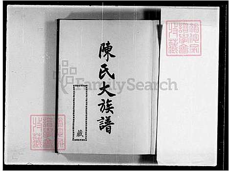 [陈] 陈氏大家谱，陈氏大家谱-彩琳公派 (台湾) 重复拍摄-1981 微捲1捲-16厘米.pdf