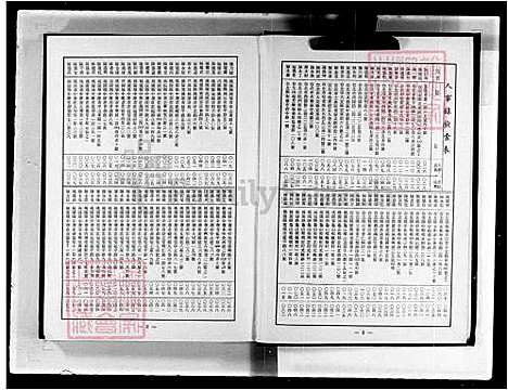 [陈] 陈氏大家谱，陈氏大家谱-彩琳公派 (台湾) 重复拍摄-1981 微捲1捲-16厘米.pdf