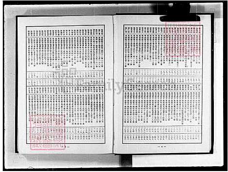 [陈] 陈氏大家谱，陈氏大家谱-彩琳公派 (台湾) 重复拍摄-1981 微捲1捲-16厘米.pdf