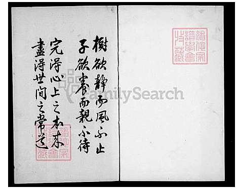 [陈] 陈氏大家谱-高美派分派台湾 (台湾) 陈氏大族谱.pdf