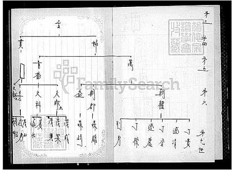 [戴] 戴氏家谱 (台湾) 戴氏族谱.pdf