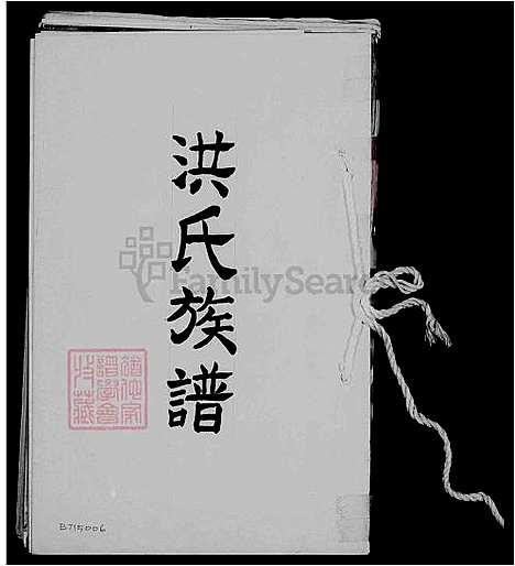 [洪] 洪氏家谱 (台湾) 洪氏族谱.pdf