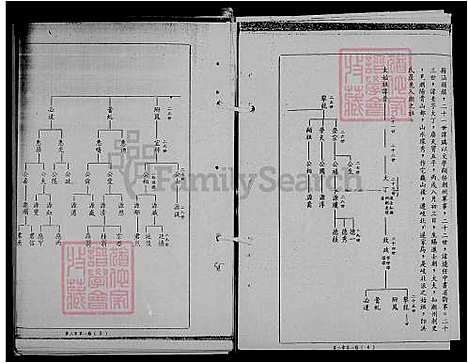 [洪] 洪氏家谱 (台湾) 洪氏族谱.pdf