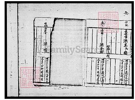 [洪] 洪氏家谱 (台湾) 洪氏族谱.pdf