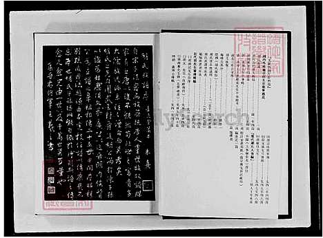 [胡] 胡氏大家谱 (台湾) 胡氏大族谱-重复拍摄-1册-1976.pdf