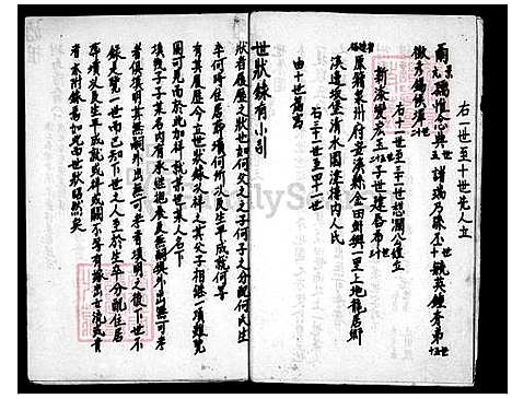 [胡] 胡氏大家谱 (台湾) 胡氏大族谱.pdf