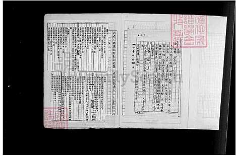 [金] 金氏家谱 (台湾) 金氏族谱.pdf