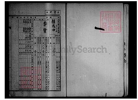 [赖] 赖氏家谱 (台湾) 赖氏族谱.pdf