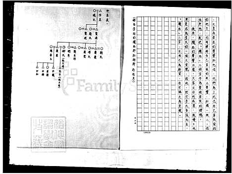 [李] 李氏家谱 (台湾) 李氏族谱.pdf