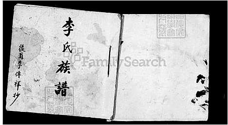 [李] 李氏家谱 (台湾) 李氏族谱.pdf