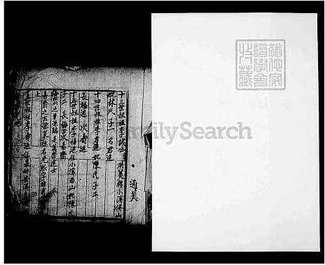 [李] 李氏家谱 (台湾) 李氏族谱.pdf