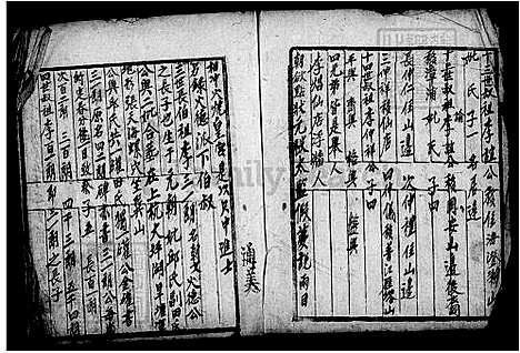 [李] 李氏家谱 (台湾) 李氏族谱.pdf