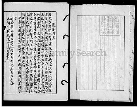 [李] 李氏家谱 (台湾) 李氏族谱.pdf