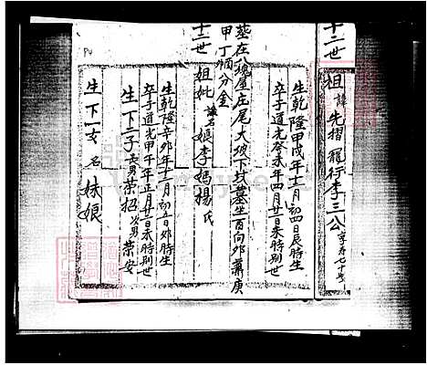 [李] 李氏家谱 (台湾) 李氏族谱.pdf